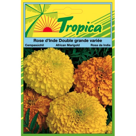 Marigold Seeds By Tropica