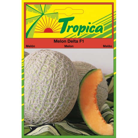 Melon Seeds (Delta F1) By Tropica