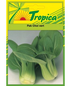 Pak Choi Chinese Cabbage Seeds By Tropica