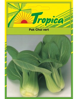Pak Choi Chinese Cabbage Seeds By Tropica