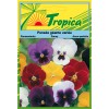 Pansy Seeds By Tropica