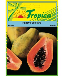 Papaya Seeds By Tropica