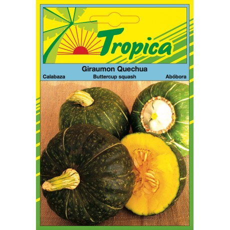 Pumpkin Seeds (Buttercup) By Tropica