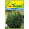 Rosemary Seeds By Tropica