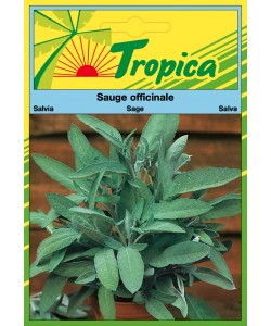 Sage Seeds By Tropica