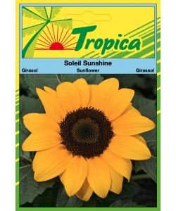 Sunflower (Sunshine) Seeds By Tropica