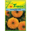 Sunflower (Soleil Orange) Seeds By Tropica