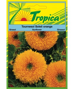 Sunflower (Soleil Orange) Seeds By Tropica