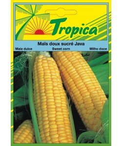 Sweet Corn Seeds By Tropica