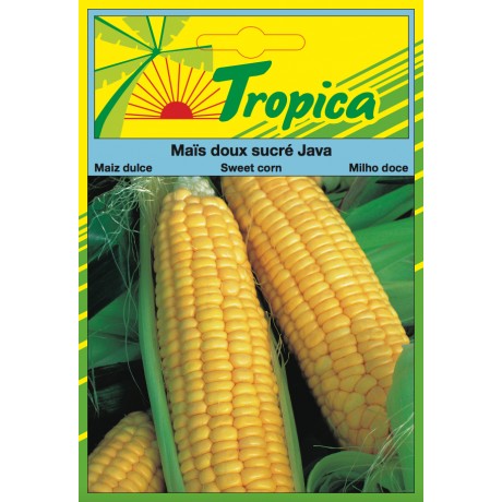 Sweet Corn Seeds By Tropica