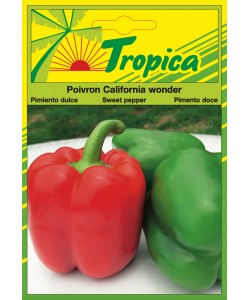 Sweet Pepper (California Wonder) Seeds By Tropica