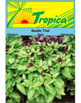Thai Basil Seeds By Tropica