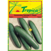 Cucumber Seeds (Tokyo F1) By Tropica