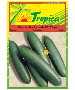 Cucumber Seeds (Tokyo F1) By Tropica
