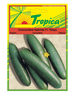 Cucumber Seeds (Tokyo F1) By Tropica