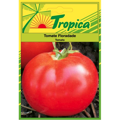 Tomato (Floradade) Seeds By Tropica