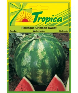 Watermelon Seeds (Crimson Sweet) By Tropica