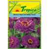 Zinnia Seeds By Tropica