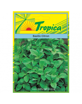 Lemon Basil Seeds By Tropica