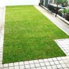 Real Carpet Grass 2ft X 1ft per piece Imported