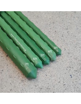 PE Coated Plant Support Metal Stick