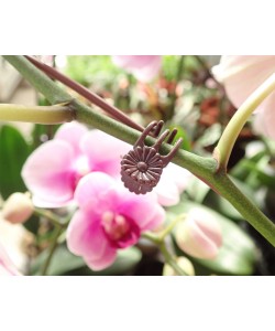 Plant Clips for Orchids or Vines (10pcs)