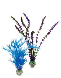 Plant Set Medium Blue & Purple by biOrb