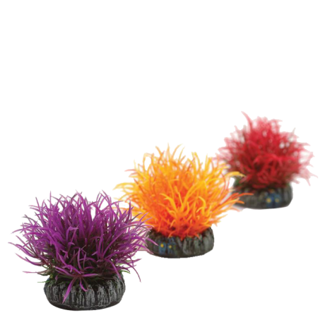 Aquatic Colour Balls Fluffy by biOrb