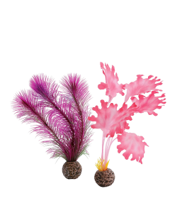 Kelp Set Small Pink by biOrb