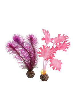 Kelp Set Small Pink by biOrb