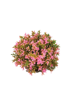 Flower Ball Pink by biOrb