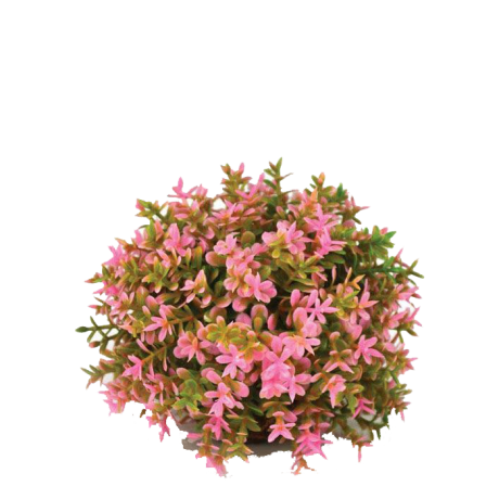Flower Ball Pink by biOrb