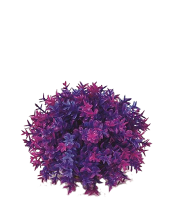 Flower Ball Purple by biOrb