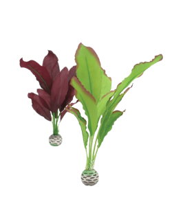 Silk Plant Set Medium Green & Purple by biOrb