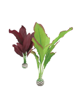 Silk Plant Set Medium Green & Purple by biOrb