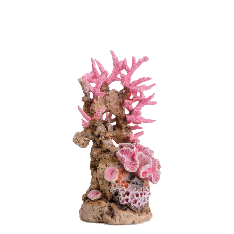 Reef Ornament Pink by biOrb