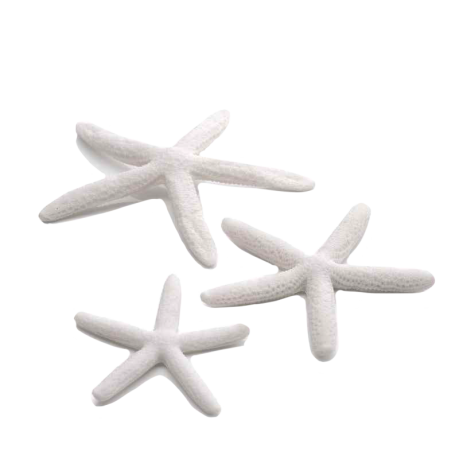 Starfish Set 3 White by biOrb