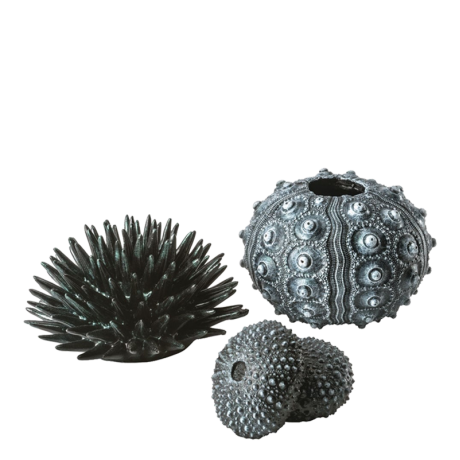 Sea Urchins Set Black by biOrb