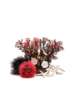 Decor Set 15L Red Forest by biOrb
