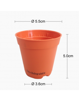 BABA Small Pot for Germination or Mini Plants (1 x 12)