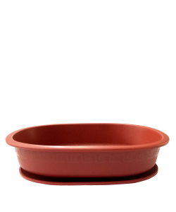 Bonsai Shallow Pot with Saucer (270mmL x 190mmW x 67mmH) BABA BI-204