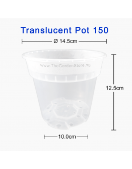 (145mmØ x 125mmH) Translucent Clear Pot 150
