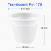 (170mmØ x 145mmH) Translucent Pot 170