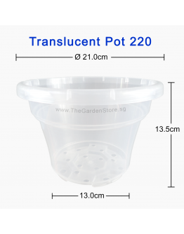 (210mmØ x 135mmH) Translucent Pot 220