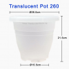 Ø26cm x HT21.5cm Translucent Pot 260
