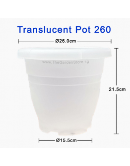 Ø26cm x HT21.5cm Translucent Pot 260