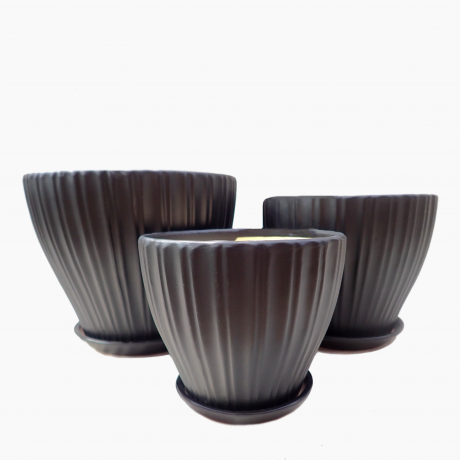 Tivoli Black Shell Design Ceramic Pot