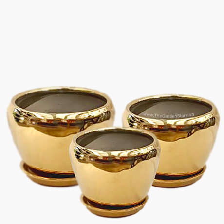 Orchidea Gold Bowl Ceramic Pot