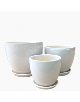 Siena White Cup Ceramic Pot