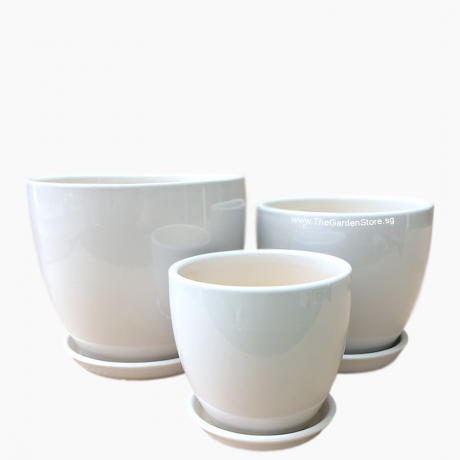 Siena White Cup Ceramic Pot